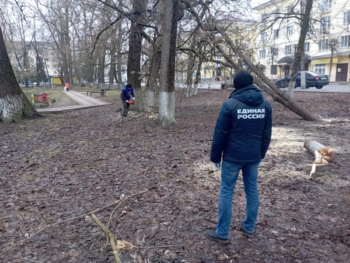 В Тверской области «Единая Россия» провела Всероссийский субботник | ТОП  Тверь новости