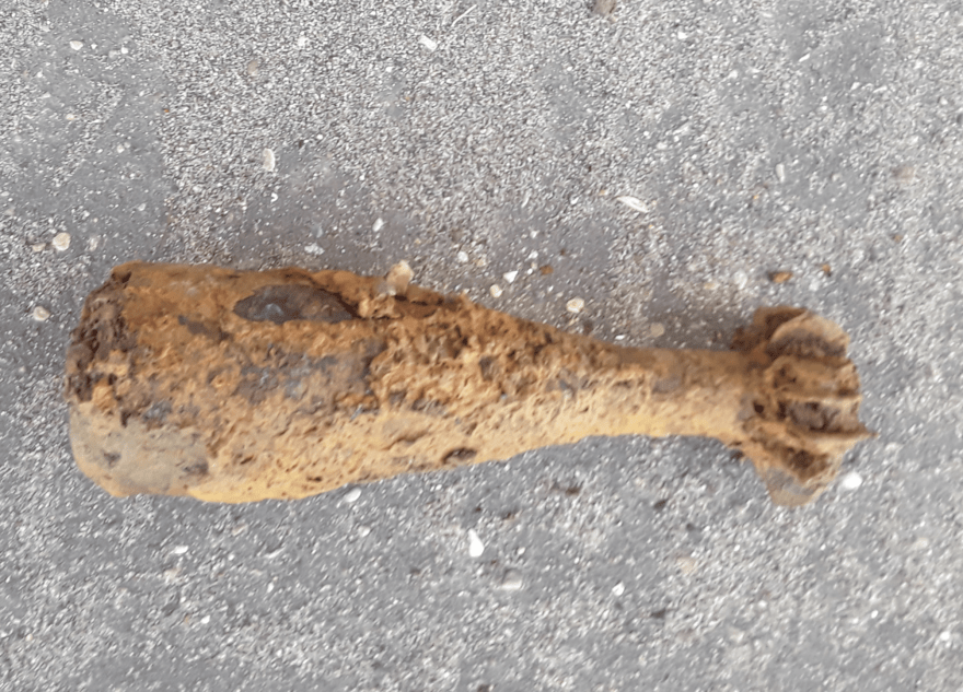 Миномётную мину времён войны нашли в Тверской области