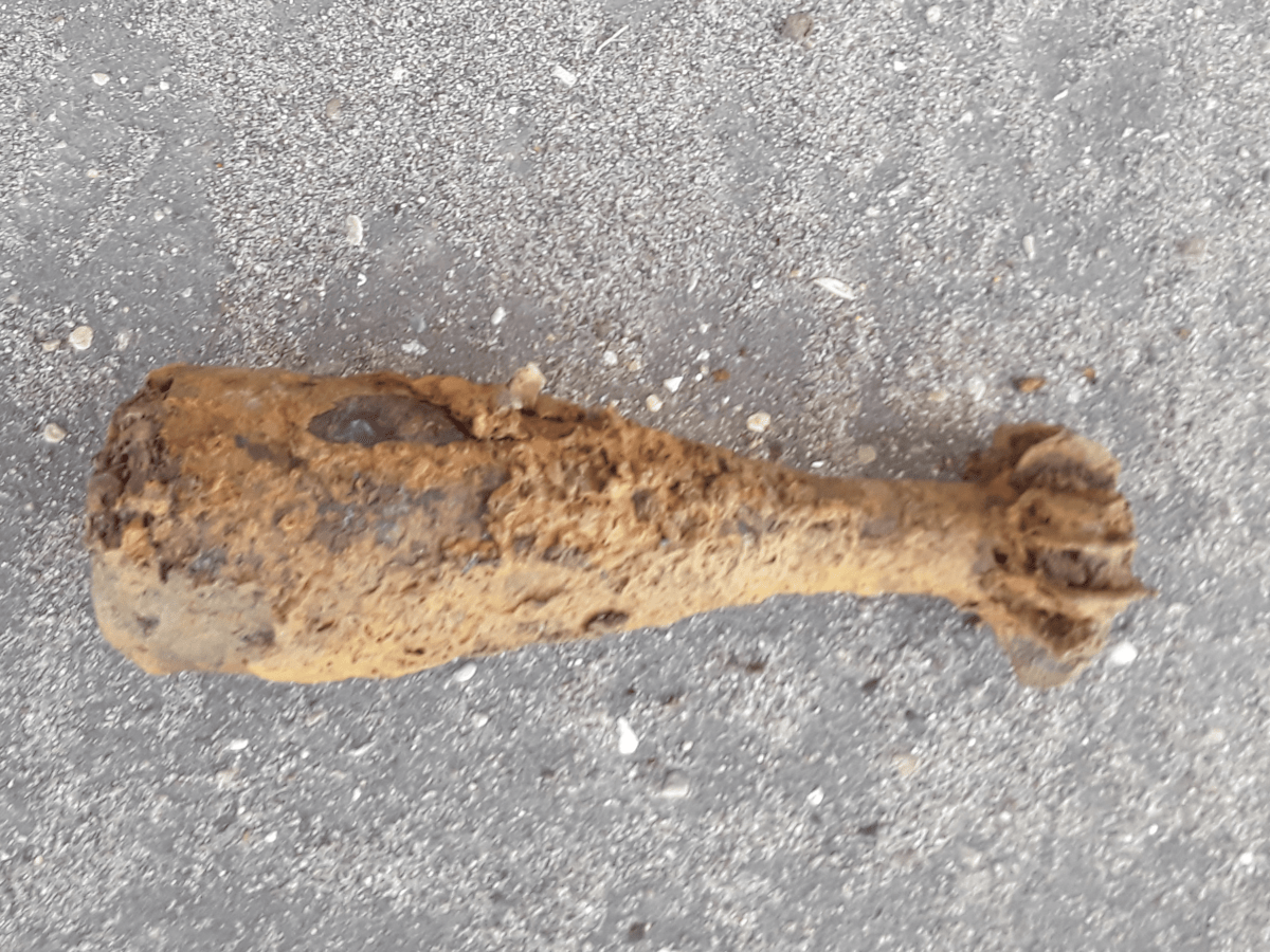 Миномётную мину времён войны нашли в Тверской области