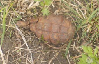 В Тверской области обезвредили гранату и снаряд времён войны