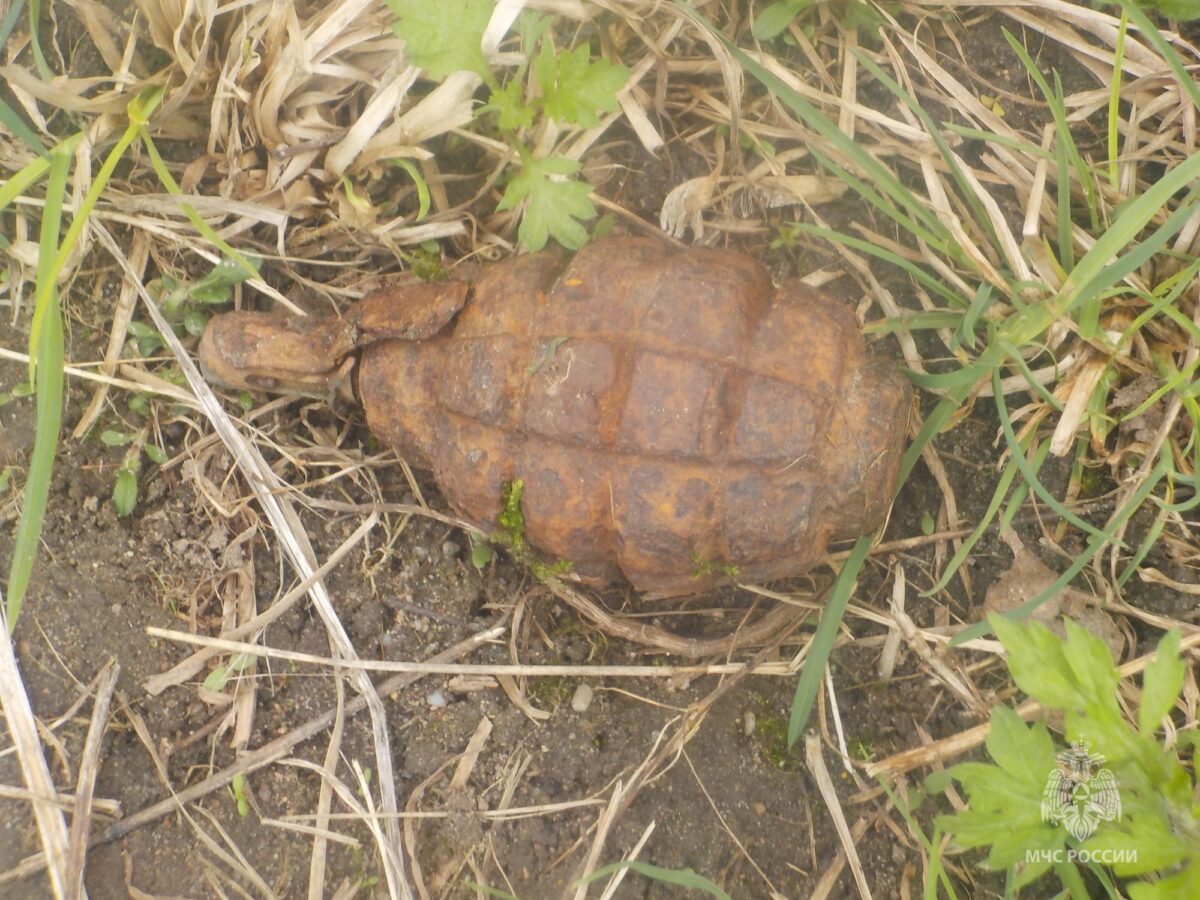 В Тверской области обезвредили гранату и снаряд времён войны