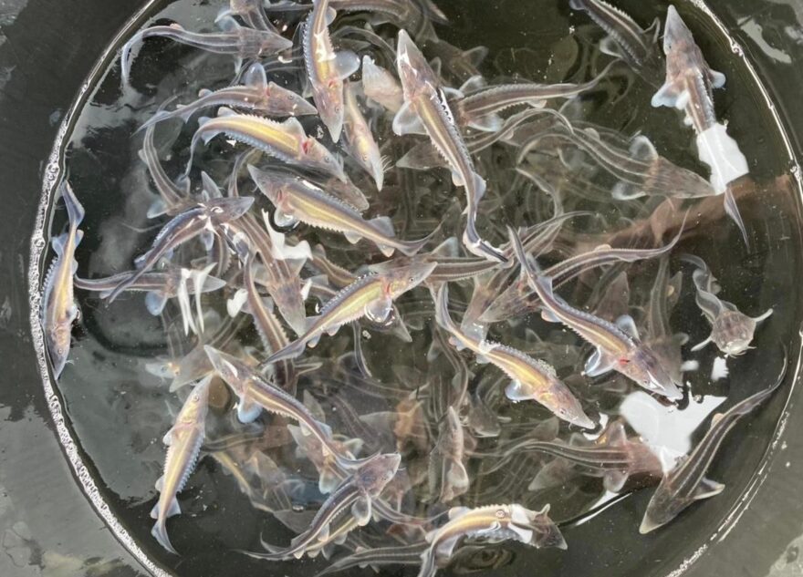 В Тверской области утвердили госпрограмму по управлению природными ресурсами и охране окружающей среды