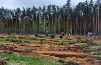 В Тверской области в рамках международной акции «Сад памяти» высадили деревья