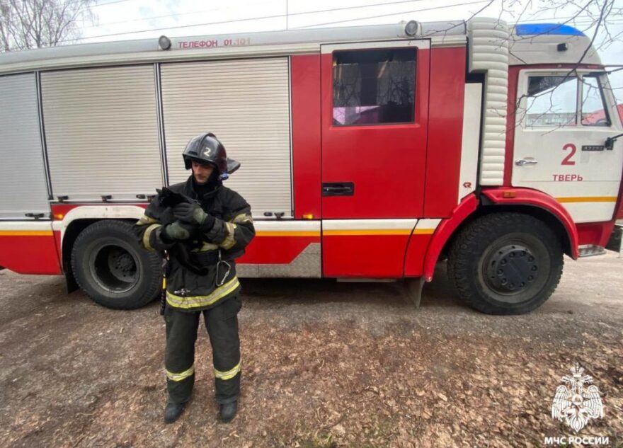 В Твери сотрудники МЧС спасли застрявшего на дереве кота