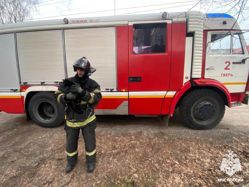 В Твери сотрудники МЧС спасли застрявшего на дереве кота