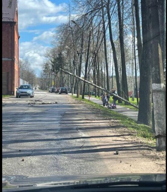 В Тверской области проводится проверка после падения дерева на малолетнюю девочку