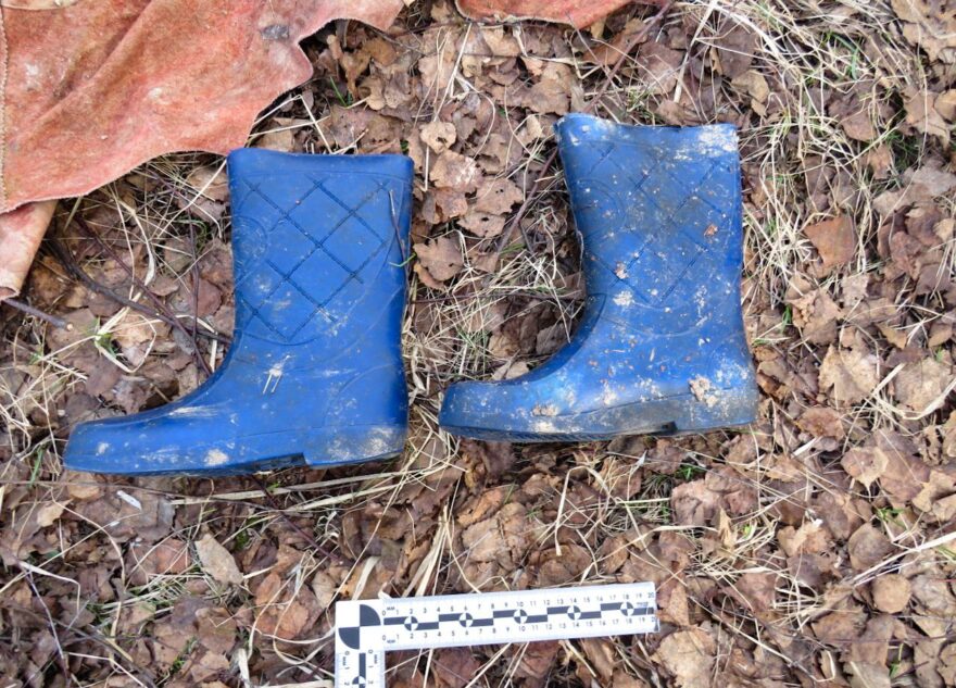 Костные останки человека нашли в лесу в Тверской области