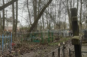 Жители Тверской области боятся ходить на кладбище из-за деревьев Жители Тверской области боятся ходить на кладбище из-за деревьев