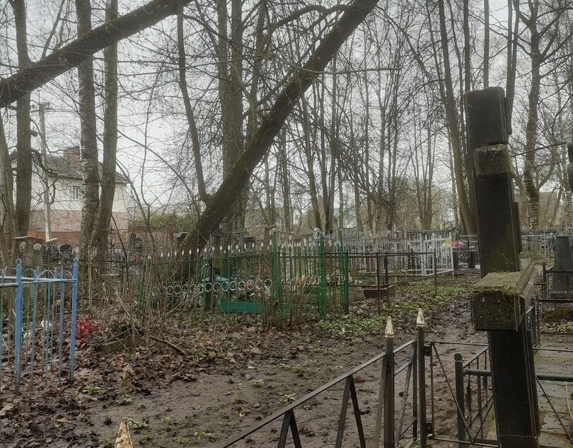 Жители Тверской области боятся ходить на кладбище из-за деревьев