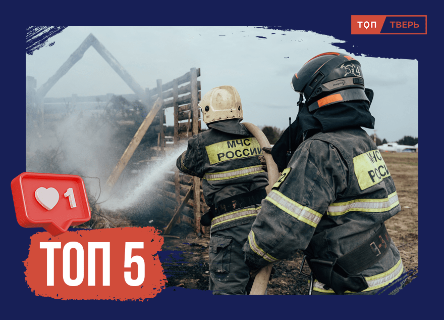 Бойтесь красного петуха: самые страшные пожары из-за пала травы