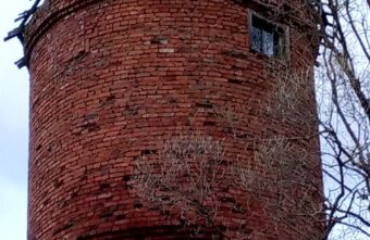 Жители Тверской области пожаловались на водонапорную башню с трупами птиц Жители Тверской области пожаловались на водонапорную башню с трупами птиц