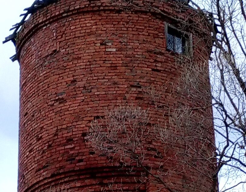 Жители Тверской области пожаловались на водонапорную башню с трупами птиц