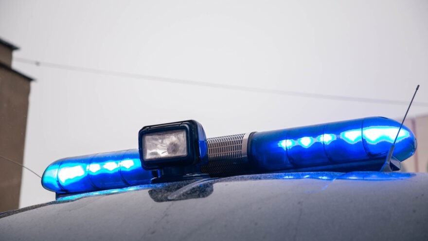 мошенников