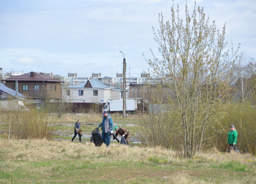 Жители Тверской области участвуют в экологическом субботнике «Зеленая Весна»