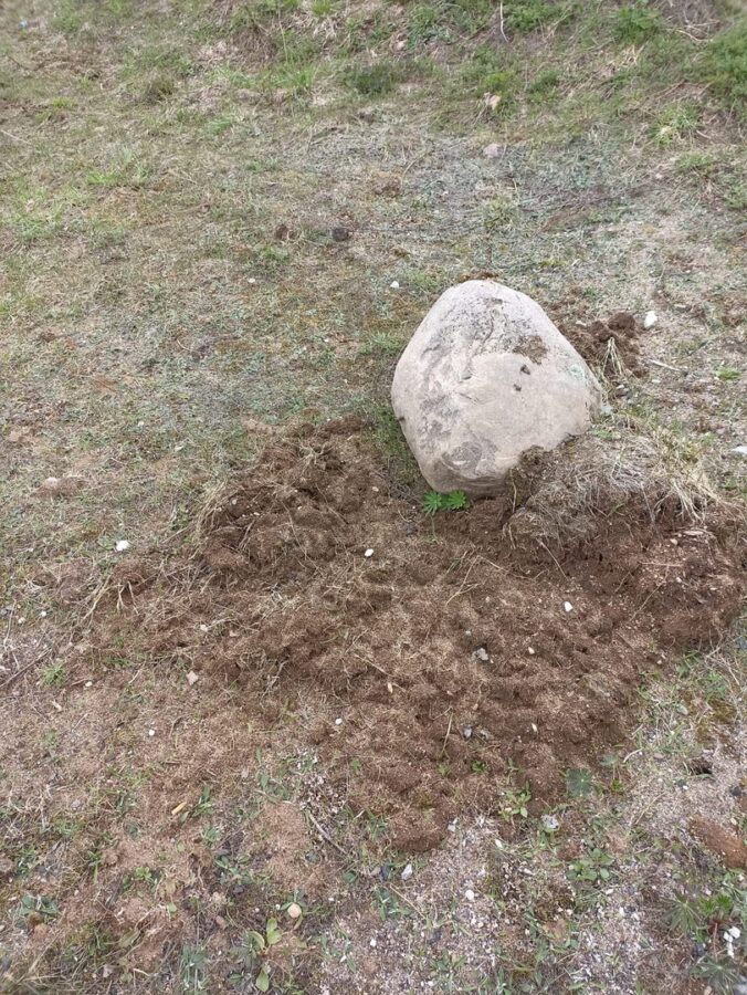 У жительницы Тверской области пытались украсть камни