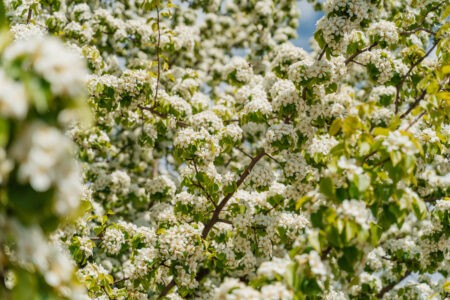В Госдуме предложили переводить аллергиков на дистанционную работу В Госдуме предложили переводить аллергиков на дистанционную работу