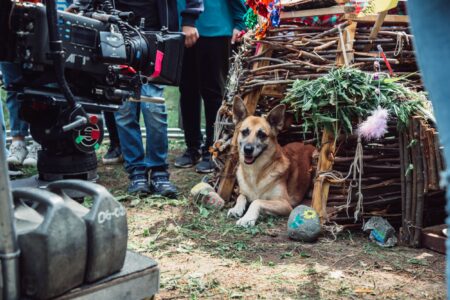 Жители Твери могут неплохо заработать на киносъемках