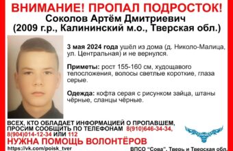 В деревне под Тверью пропал подросток