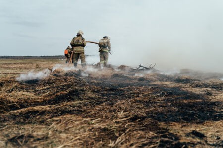 В Тверской области сохраняется высокая пожарная опасность В Тверской области сохраняется высокая пожарная опасность