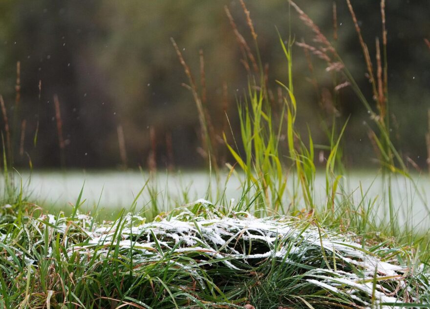 В Тверской области ожидаются сильные заморозки