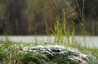 Ночью по Тверской области ударят заморозки