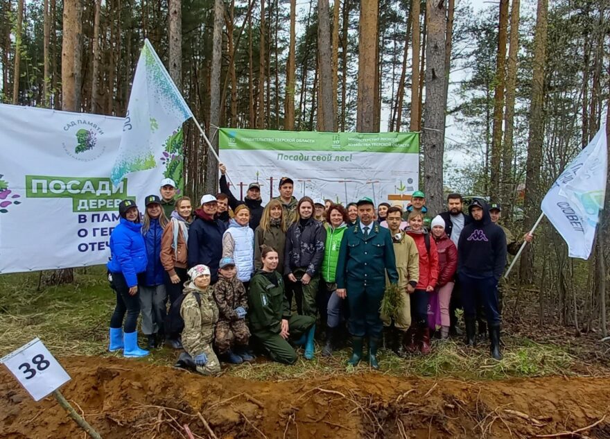 «Сад памяти»: в Тверской области высадили больше 9 миллионов сеянцев и саженцев