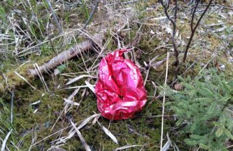 Жителей Тверской области призвали не запускать в небо воздушные шары Жителей Тверской области призвали не запускать в небо воздушные шары