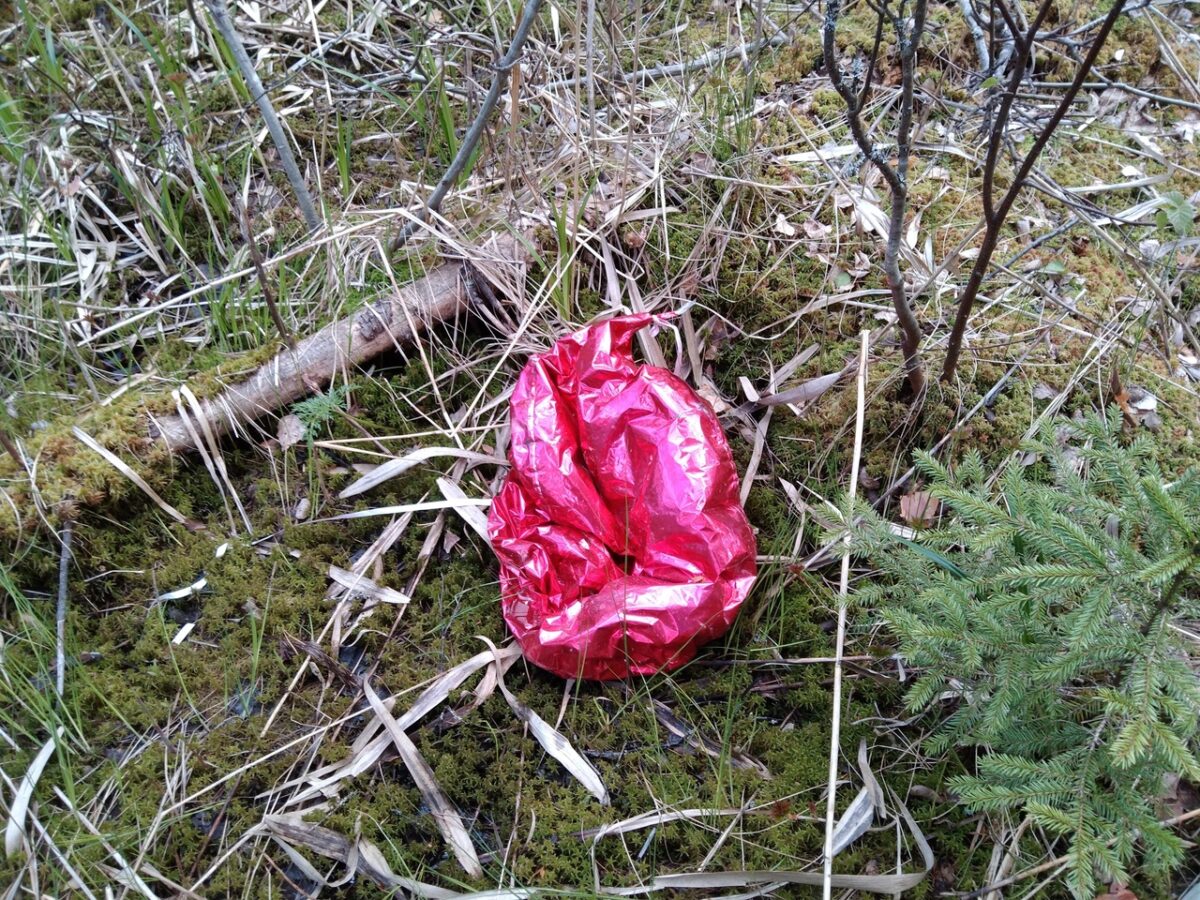 Жителей Тверской области призвали не запускать в небо воздушные шары