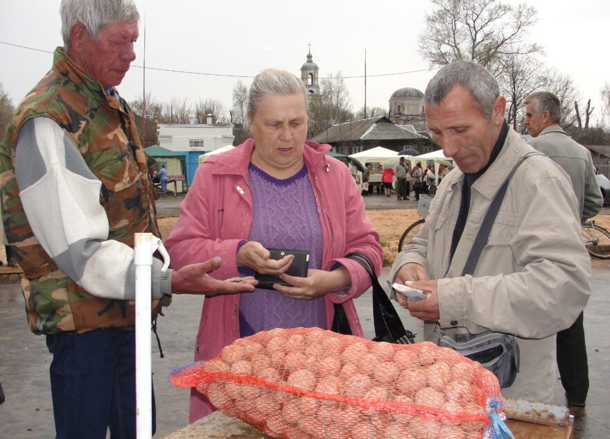 В 2024 году дачников Тверской области могут оштрафовать за выращивание картошки  