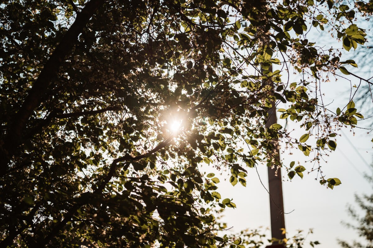 На Земле закончилась череда мощных магнитных бурь