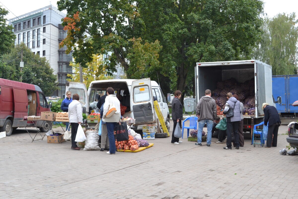 В 2024 году дачников Тверской области могут оштрафовать за выращивание  картошки | ТОП Тверь новости