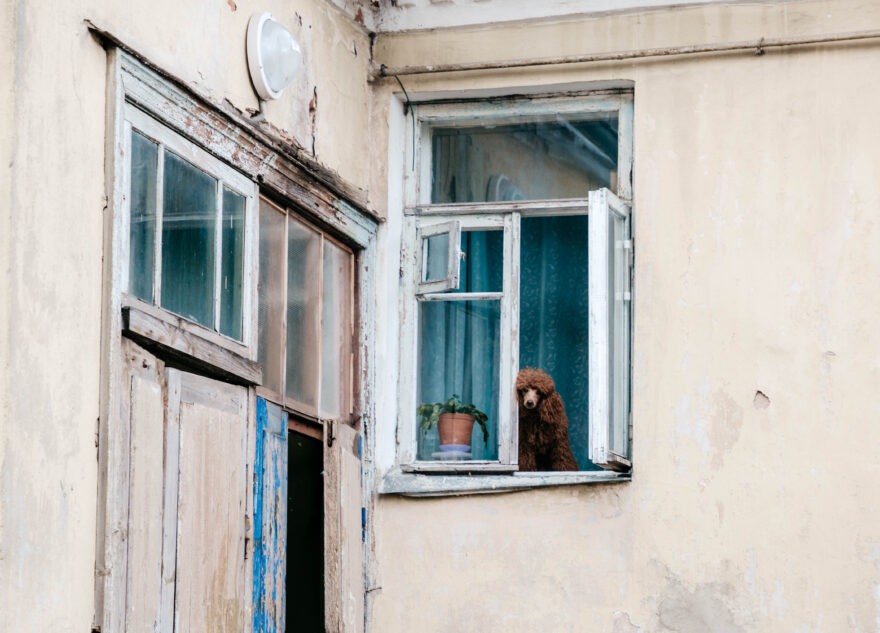 Врач рассказала об опасности серьезных заболеваний из-за духоты в комнате