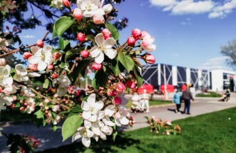 В Тверскую область возвращается майское тепло