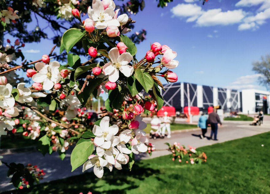 В Тверскую область возвращается майское тепло