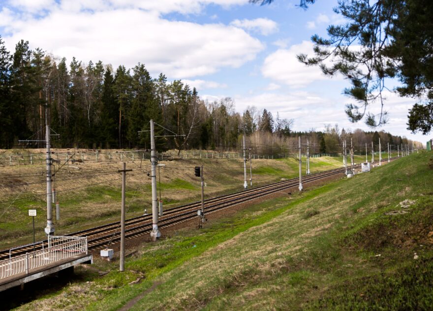 Лось погиб под колёсами скорого поезда в Тверской области
