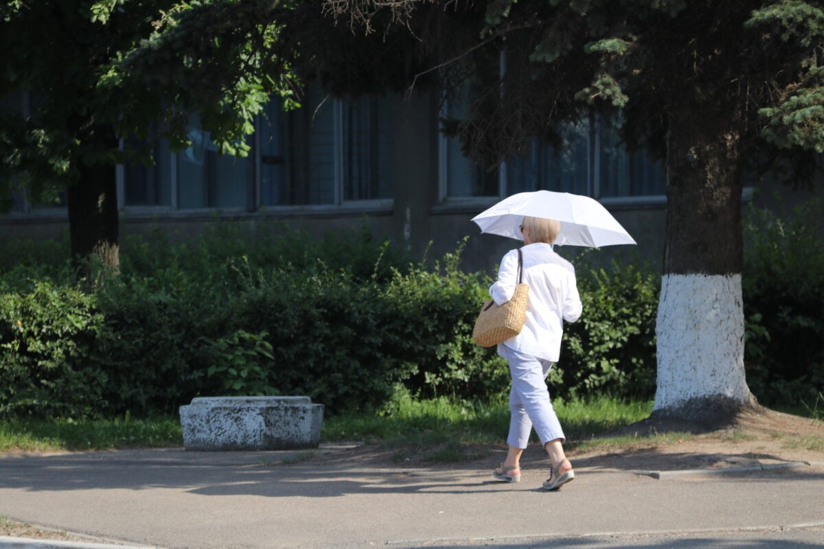 В Тверской области ожидается аномальная жара и засуха | ТОП Тверь новости