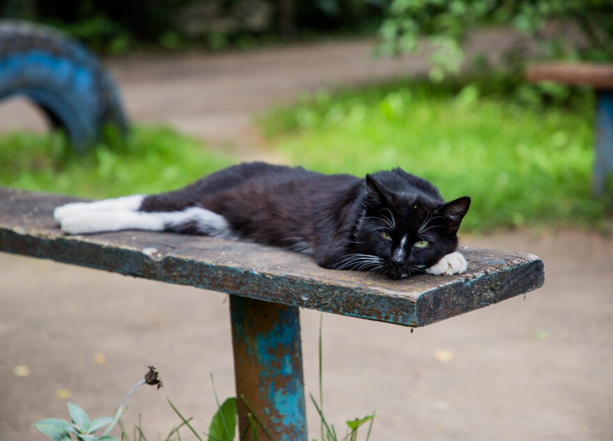 Синоптики рассказали, какой будет июнь в Тверской области