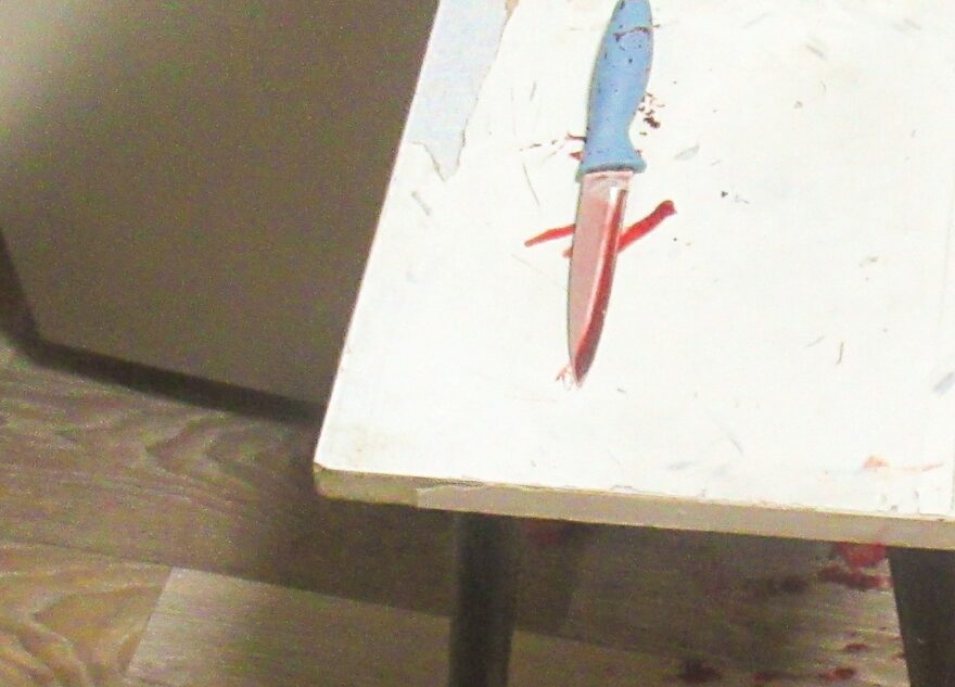 В Тверской области пьяная женщина зарезала своего мужа