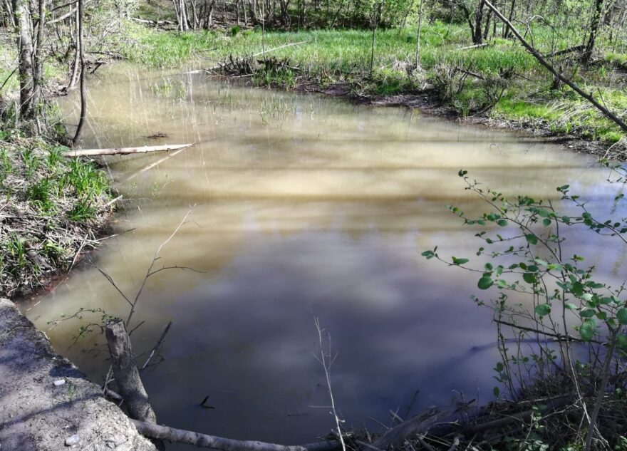Жители Тверской области пожаловались на загрязнение рек