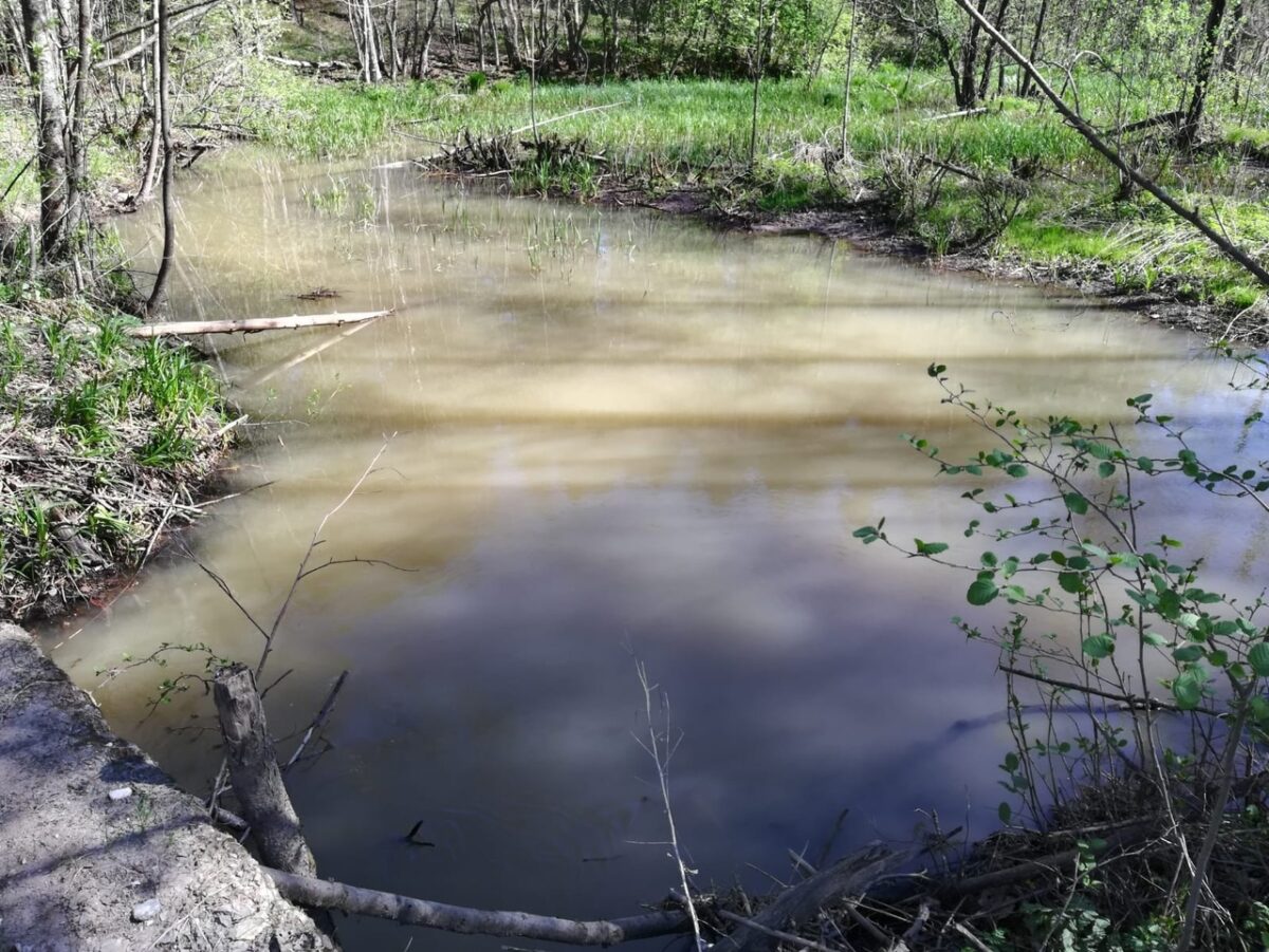 Жители Тверской области пожаловались на загрязнение рек