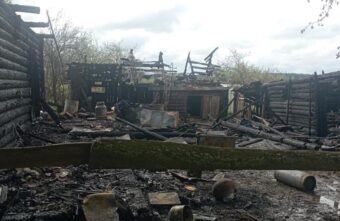 Во время пожара в Тверской области хозяева спасли только домашних животных Во время пожара в Тверской области хозяева спасли только домашних животных