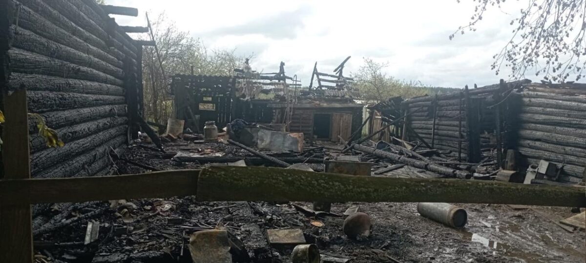 Во время пожара в Тверской области хозяева спасли только домашних животных