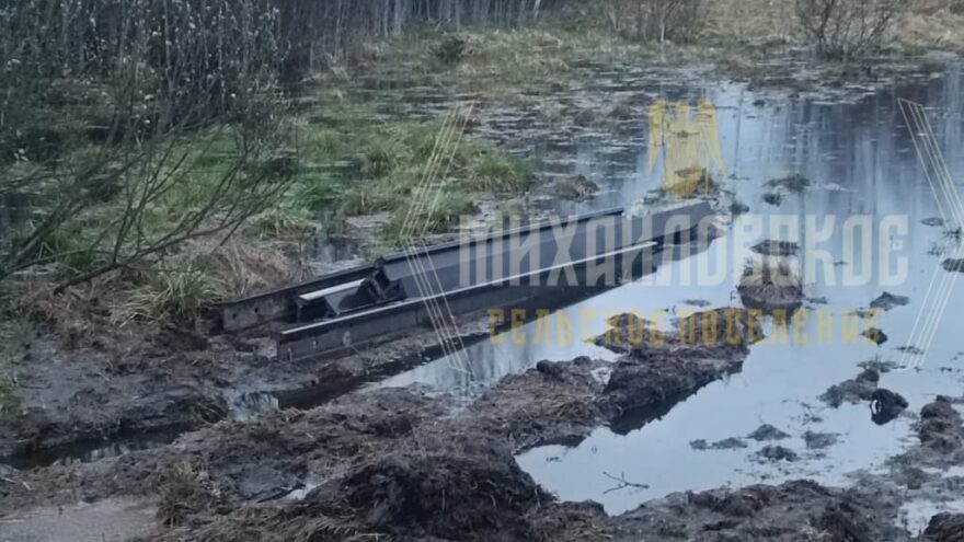 Под Тверью местные жители помогли поймать похитителей рельсов