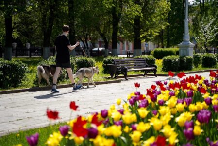 Май в Тверской области будет тёплым, но «ненормальным»