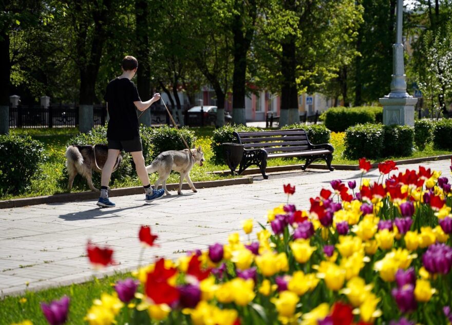 Май в Тверской области будет тёплым, но «ненормальным»