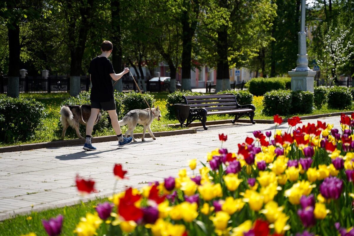 Май в Тверской области будет тёплым, но «ненормальным»