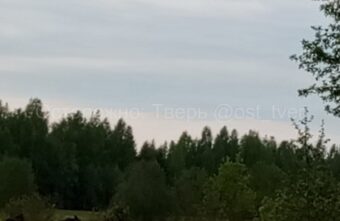 На трассе под Тверью бегает стадо лосей