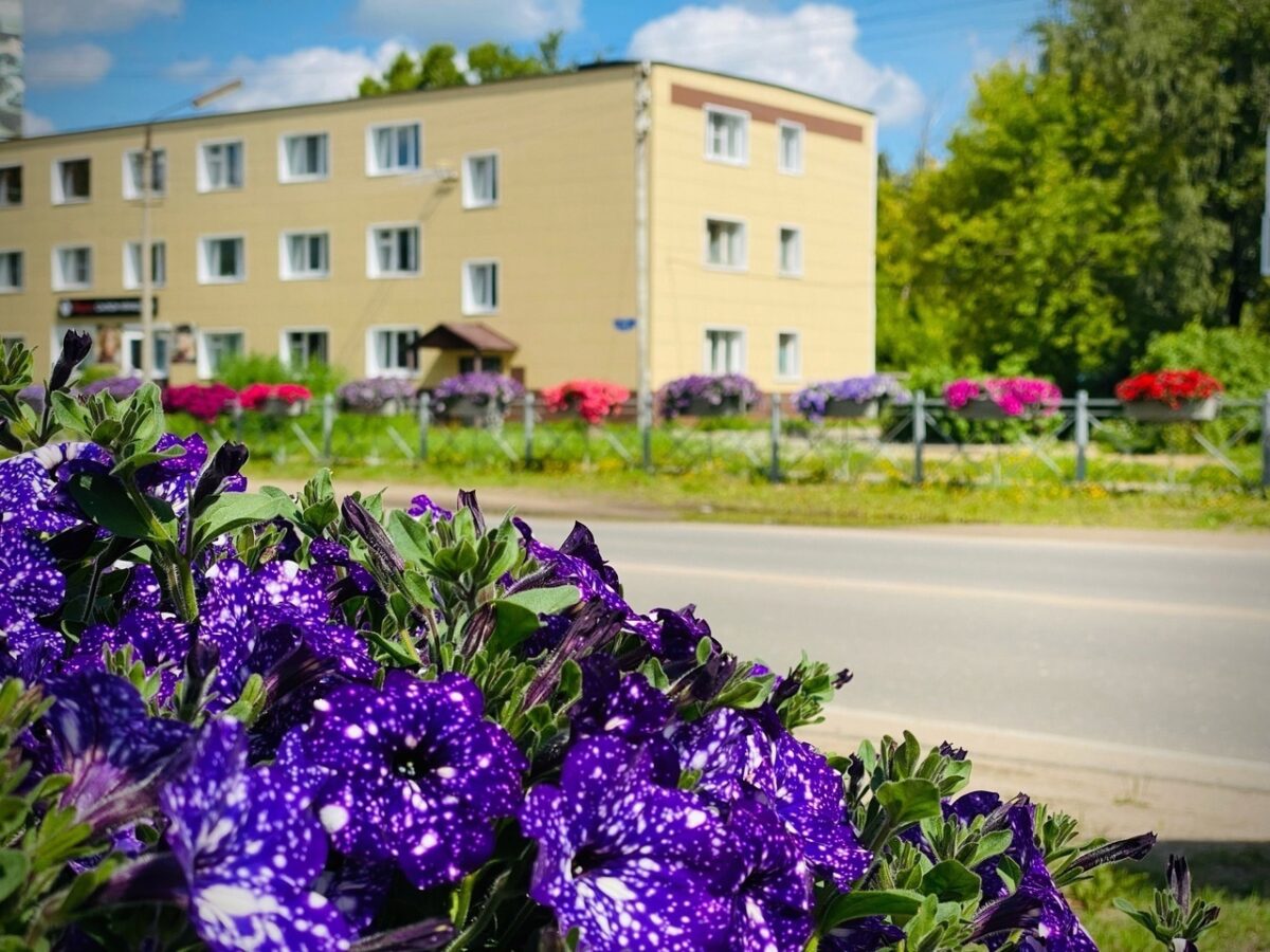 Лихославль украсили цветами и просят жителей их не воровать