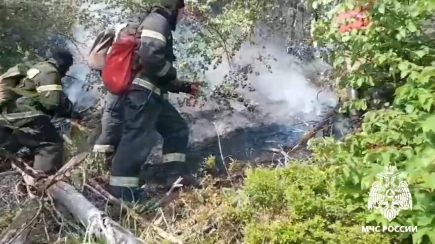 В Тверской области горит лесная подстилка