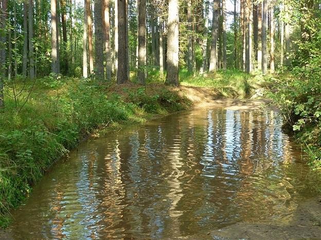 Организацию в Тверской области заставили снести забор на безымянном ручье